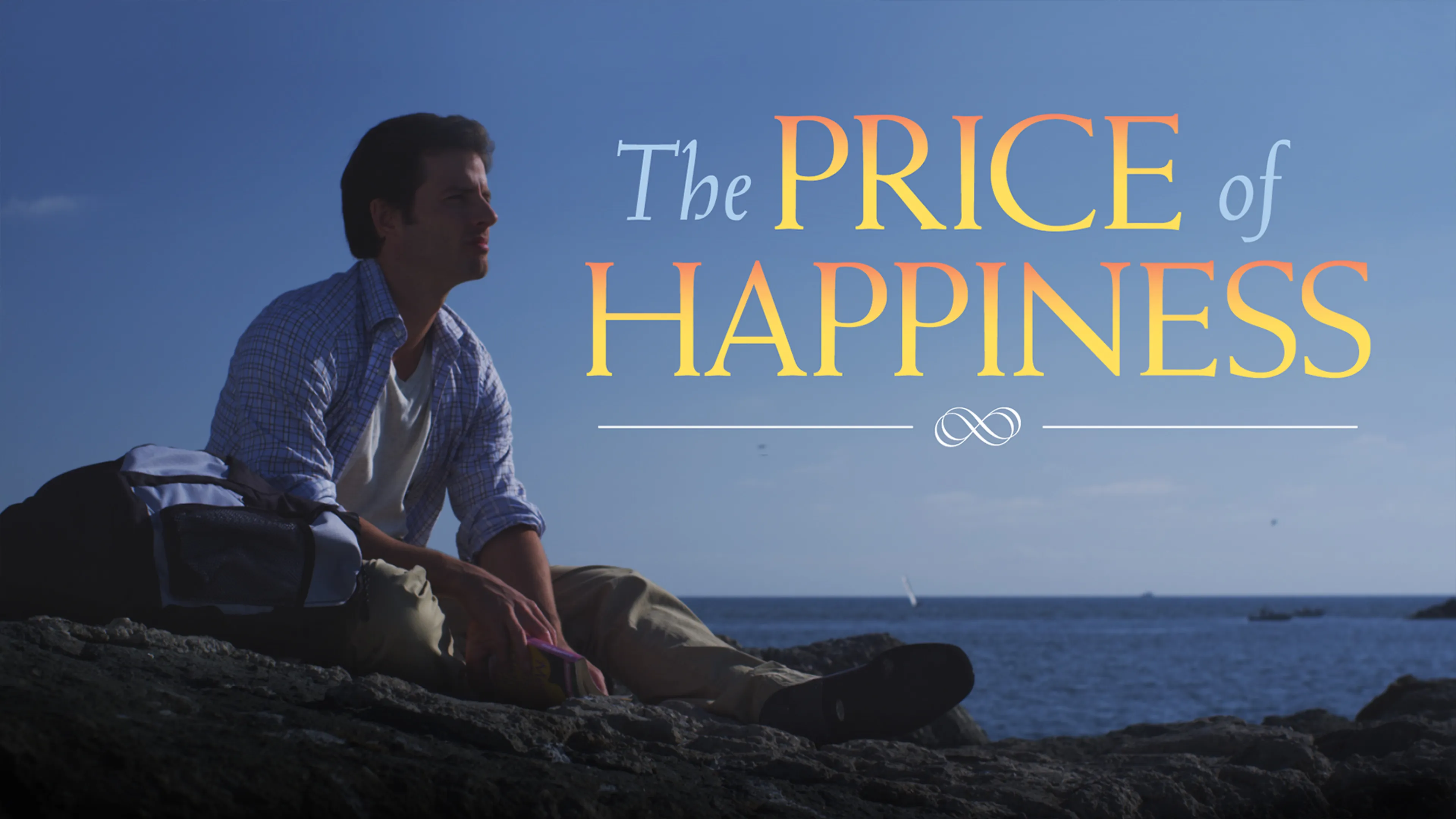 The Price of Happiness poster
